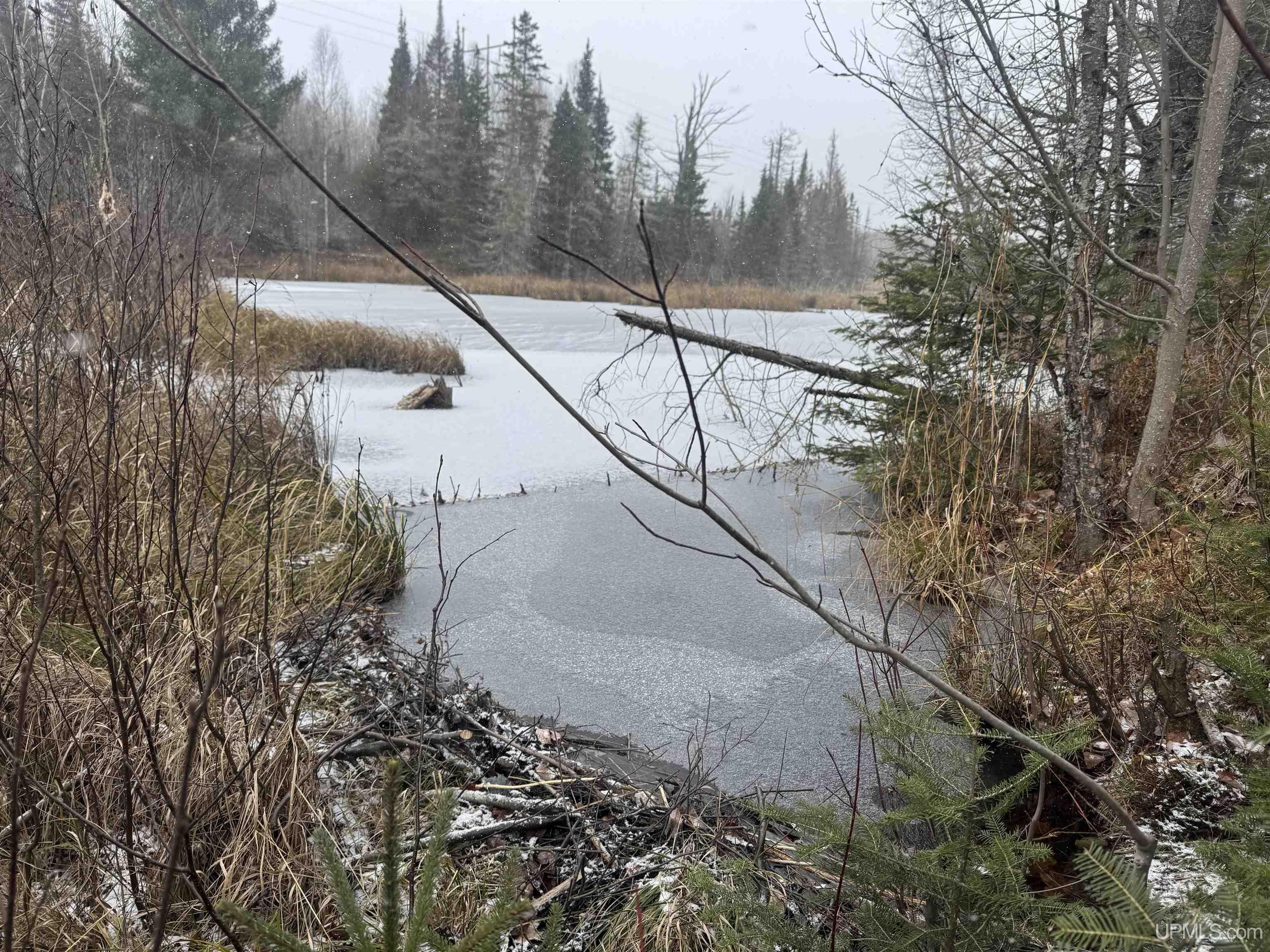 Homes for sale in Republic, MI | Tbd County Rd Fu Rd, Republic, MI 49879 | MLS# 50193145