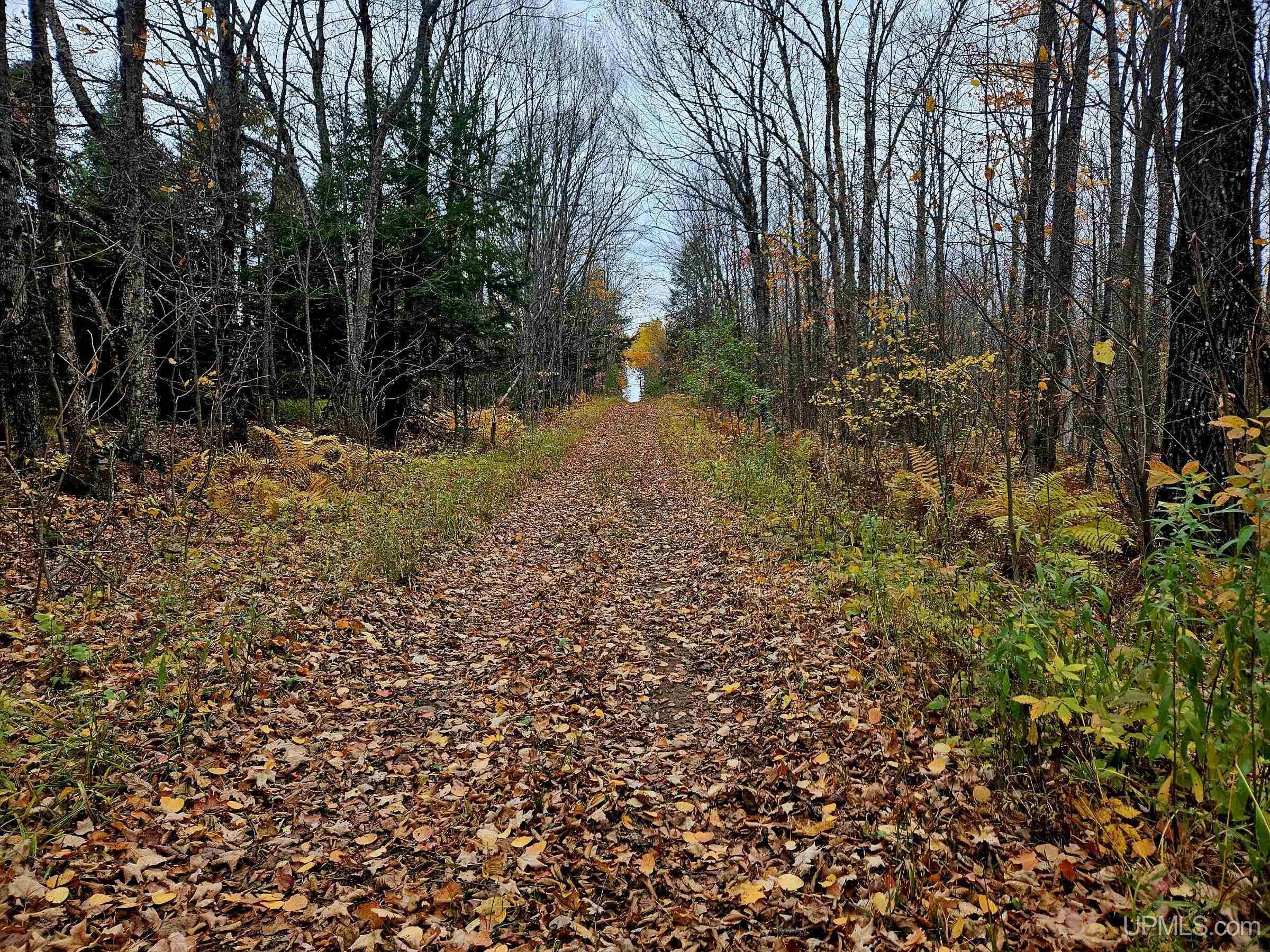 Homes for sale in Wakefield, MI | Tbd Koskela Rd, Wakefield, MI 49968 | MLS# 50193173