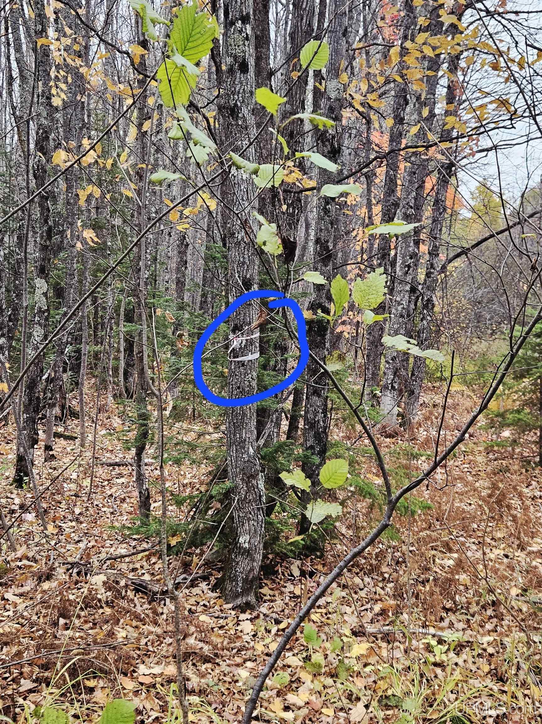 Homes for sale in Wakefield, MI | Tbd Koskela Rd, Wakefield, MI 49968 | MLS# 50193173