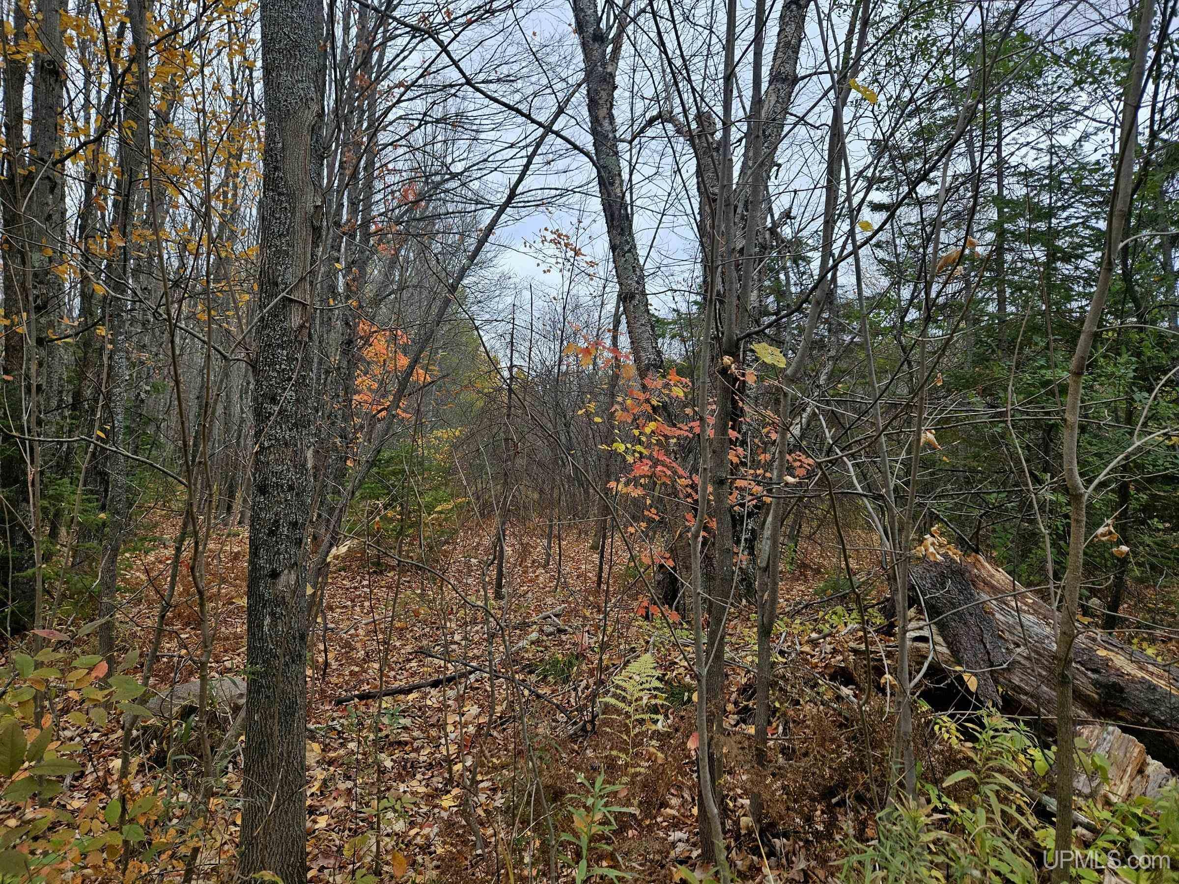 Homes for sale in Wakefield, MI | Tbd Koskela Rd, Wakefield, MI 49968 | MLS# 50193173