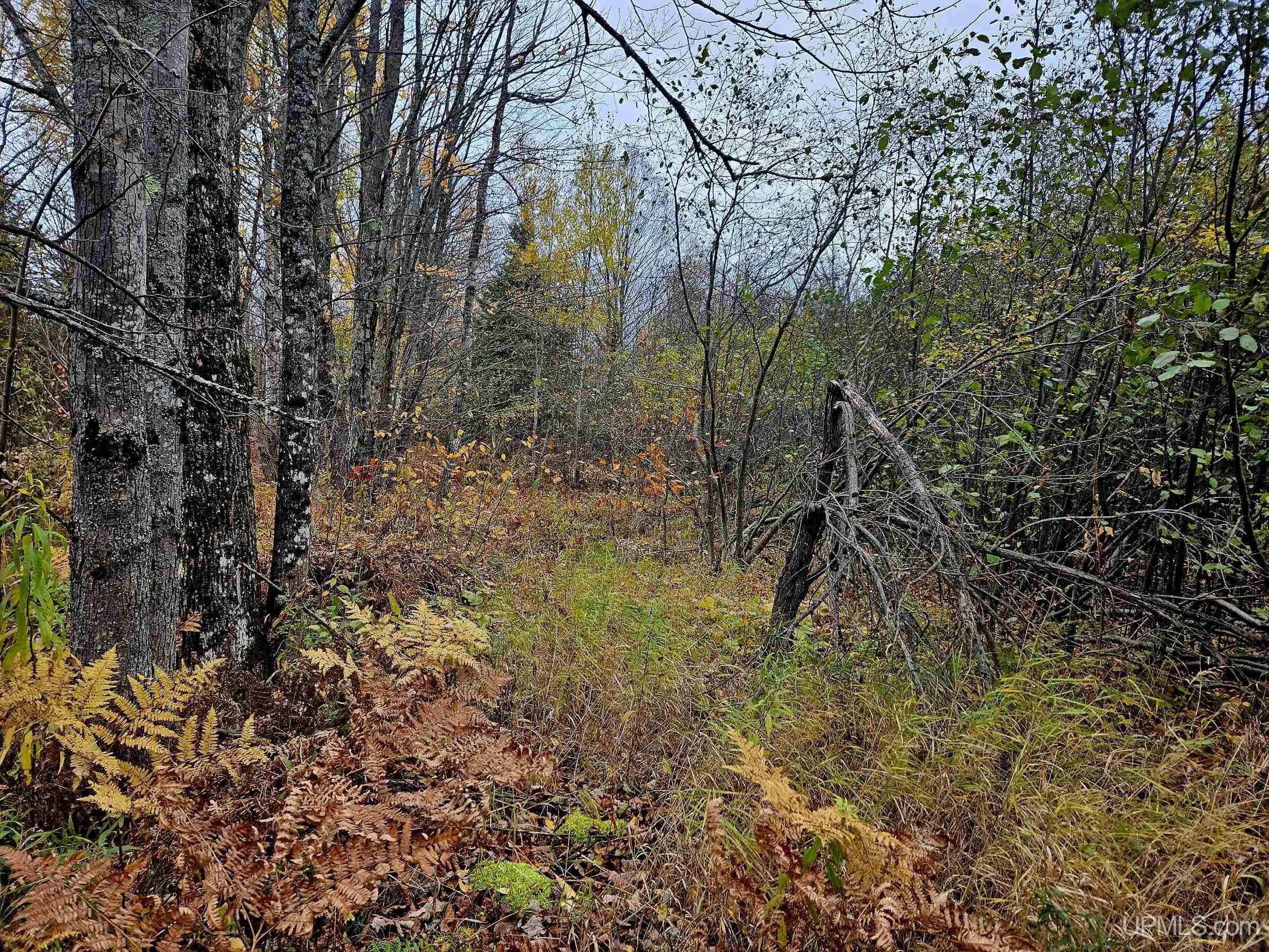 Homes for sale in Wakefield, MI | Tbd Koskela Rd, Wakefield, MI 49968 | MLS# 50193173