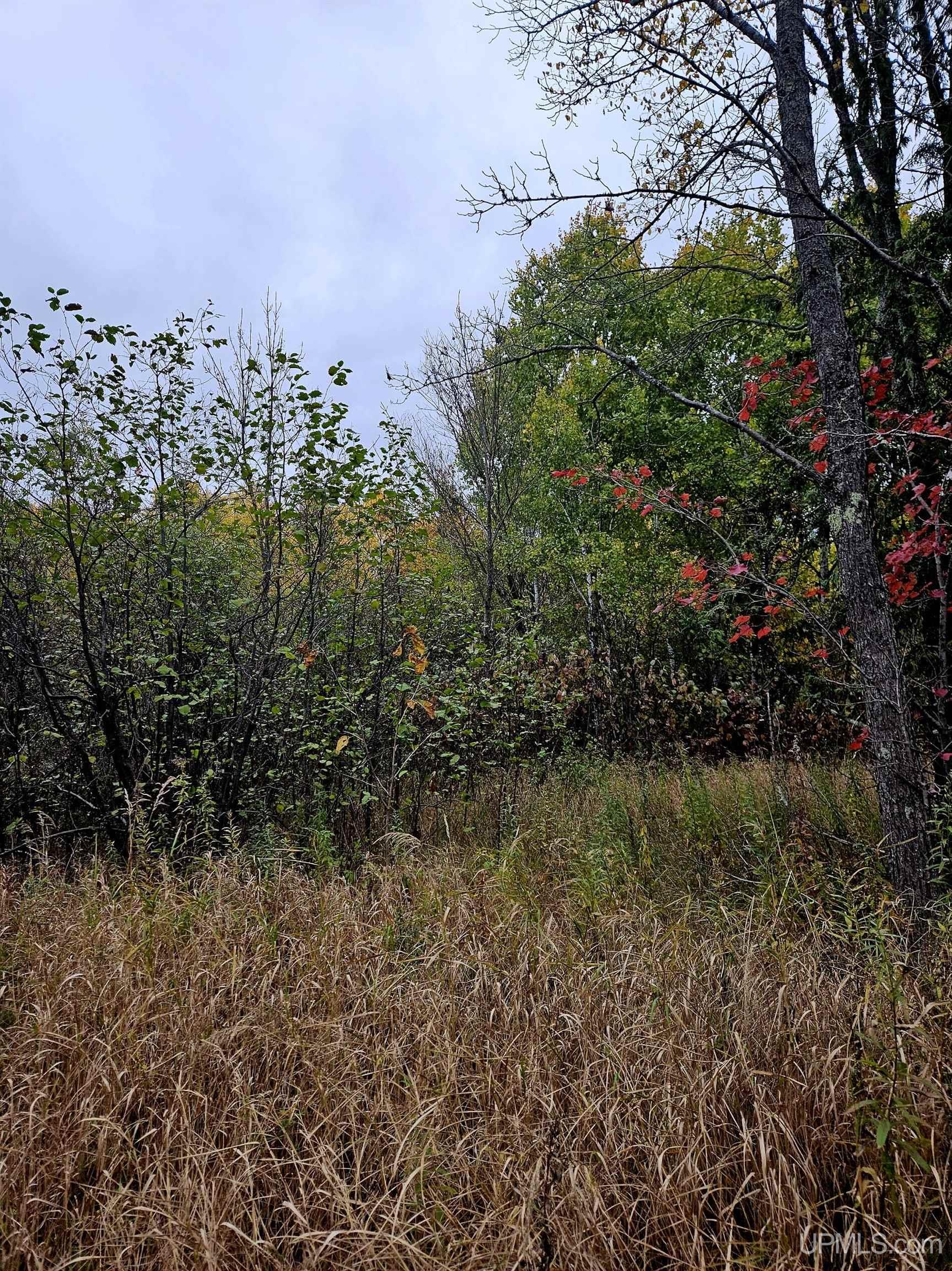 Homes for sale in Wakefield, MI | Tbd Koskela Rd, Wakefield, MI 49968 | MLS# 50193173