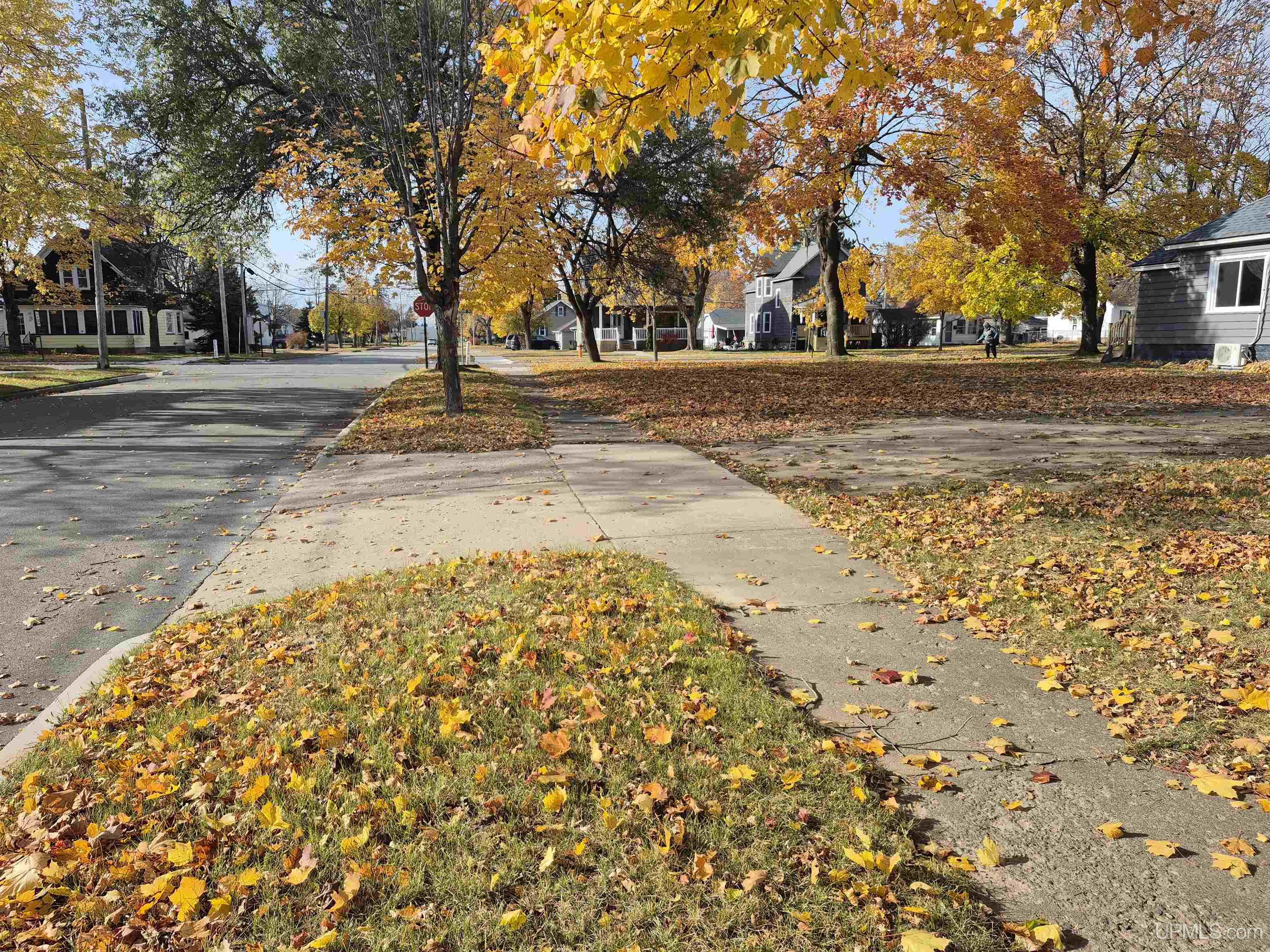 Homes for sale in Escanaba, MI | 1002 Stephenson Ave, Escanaba, MI 49829 | MLS# 50193783