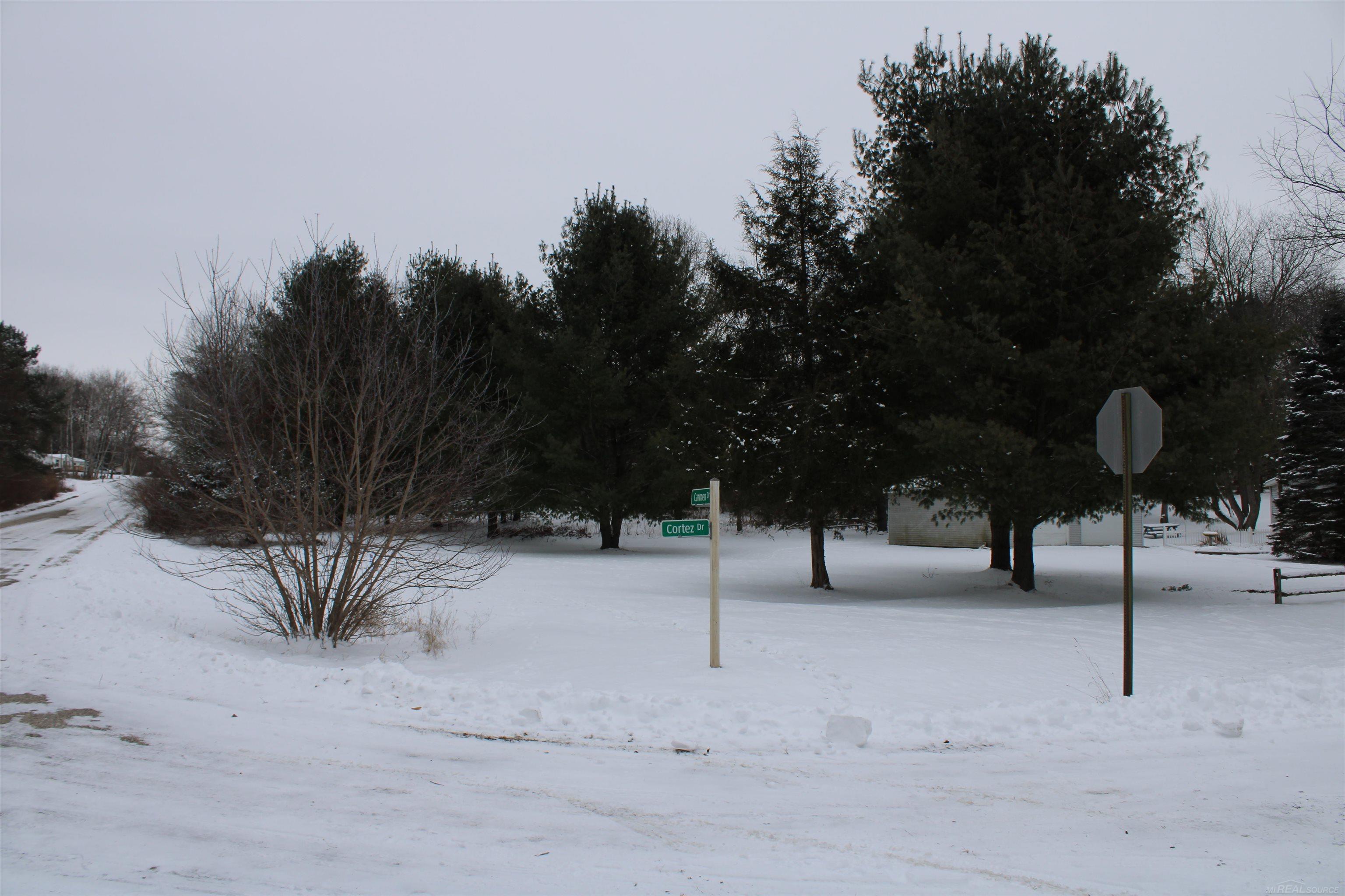 Homes for sale in Weidman, MI | 1046 Cortez Dr, Weidman, MI 48893 | MLS# 50193800