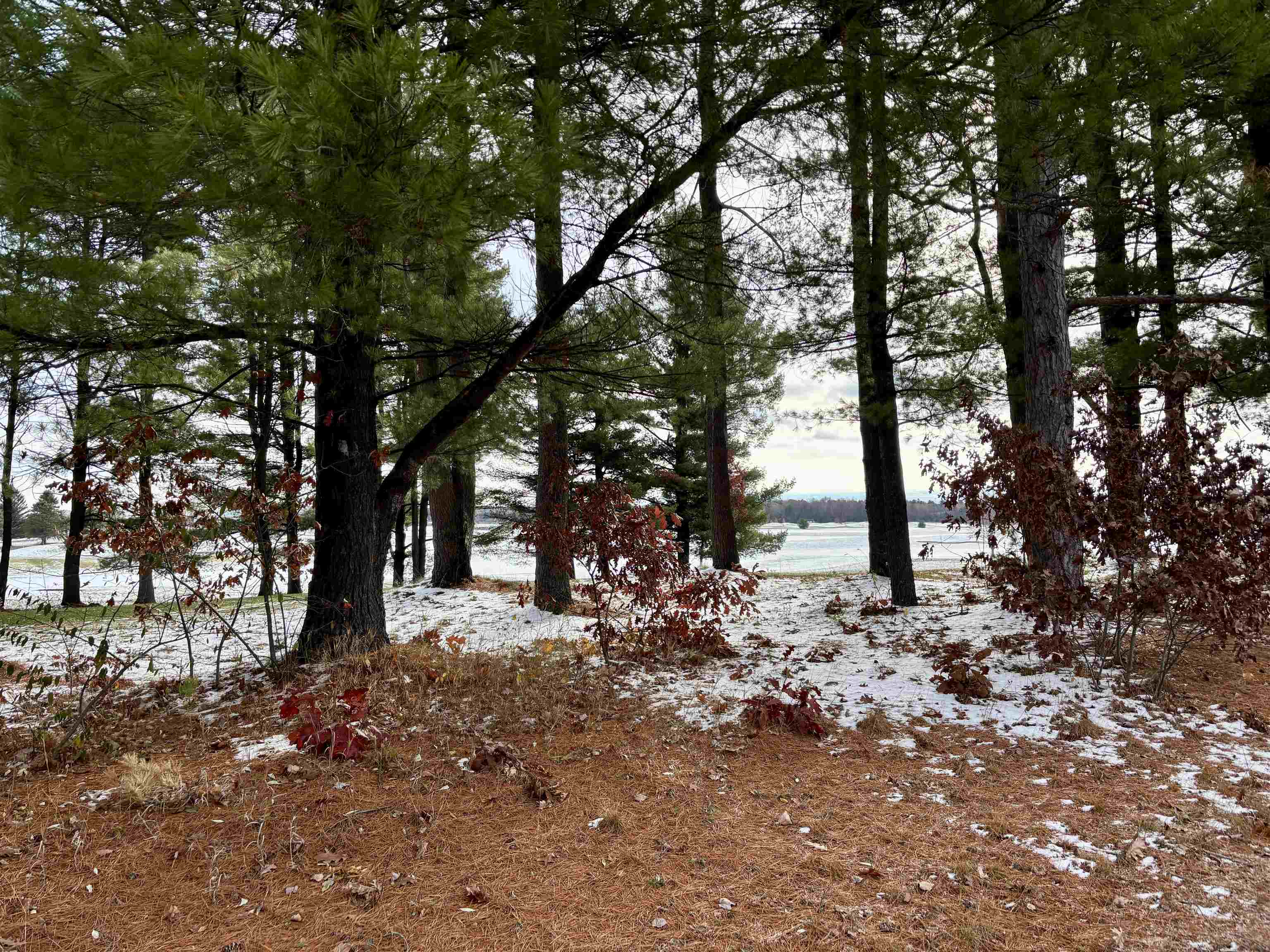 Homes for sale in Farwell, MI | 9465 Kellamy Way, Farwell, MI 48622 | MLS# 50194010