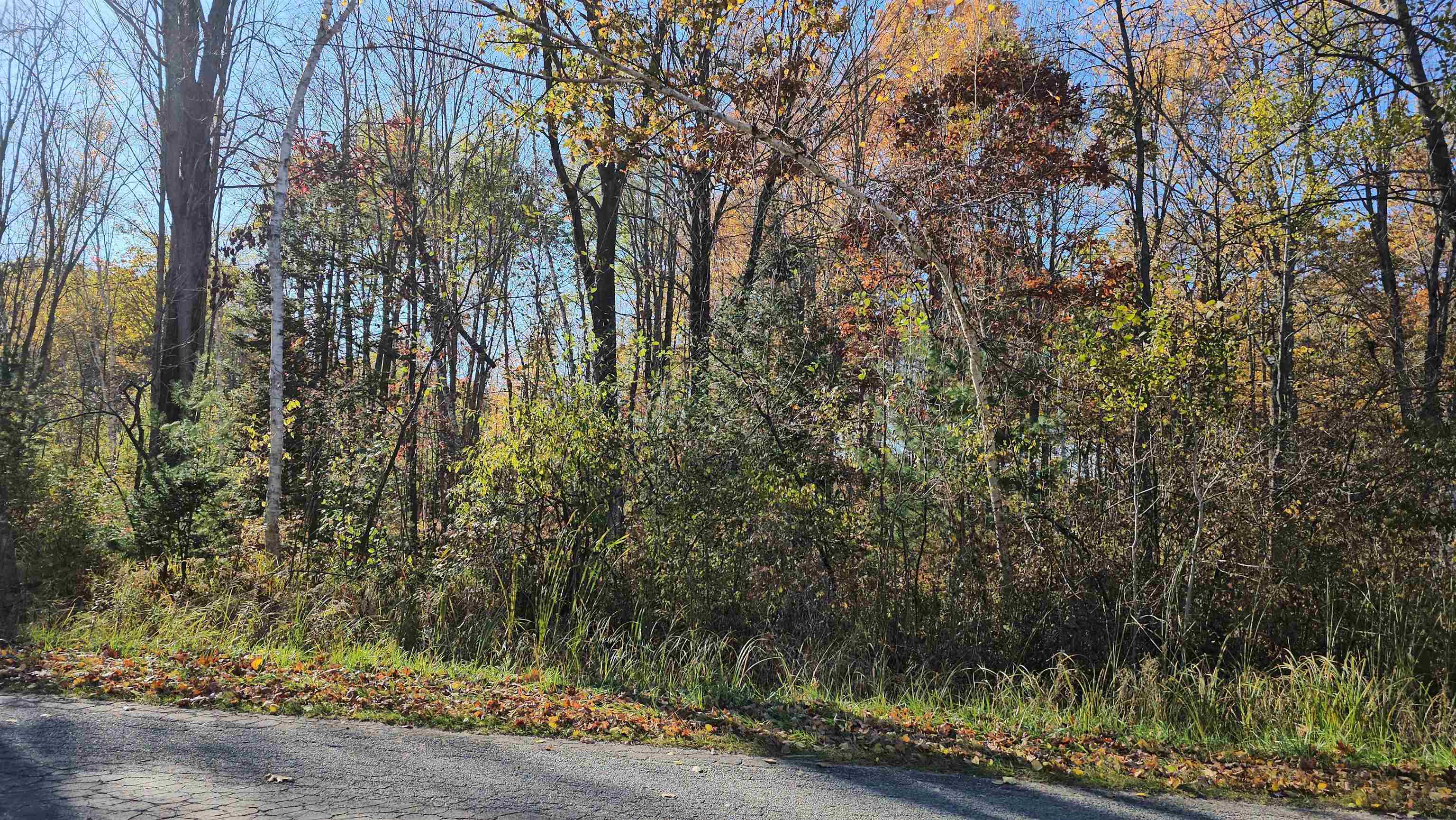 Homes for sale in Gladwin, MI | 045 Acres Indian Lake Dr, Gladwin, MI 48624 | MLS# 50194027