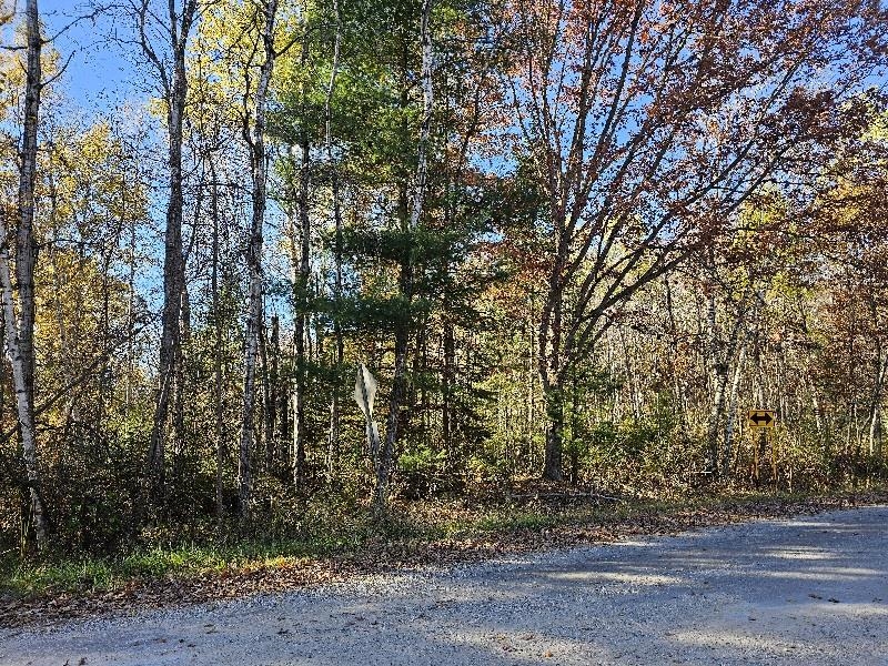 Homes for sale in Gladwin, MI | 045 Acres Indian Lake Dr, Gladwin, MI 48624 | MLS# 50194027