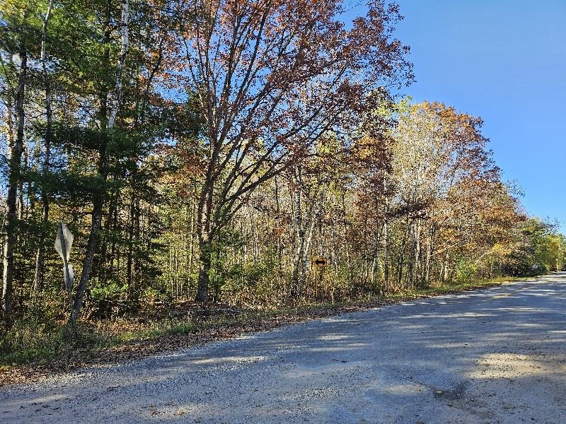 Homes for sale in Gladwin, MI | 045 Acres Indian Lake Dr, Gladwin, MI 48624 | MLS# 50194027