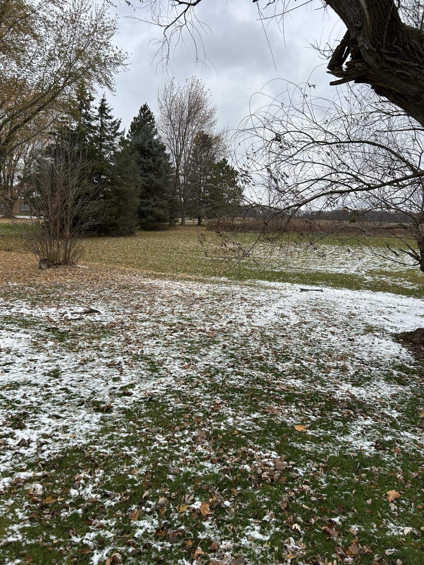 Homes for sale in Corunna, MI | 9651 Juddville Rd, Corunna, MI 48817 | MLS# 50194046