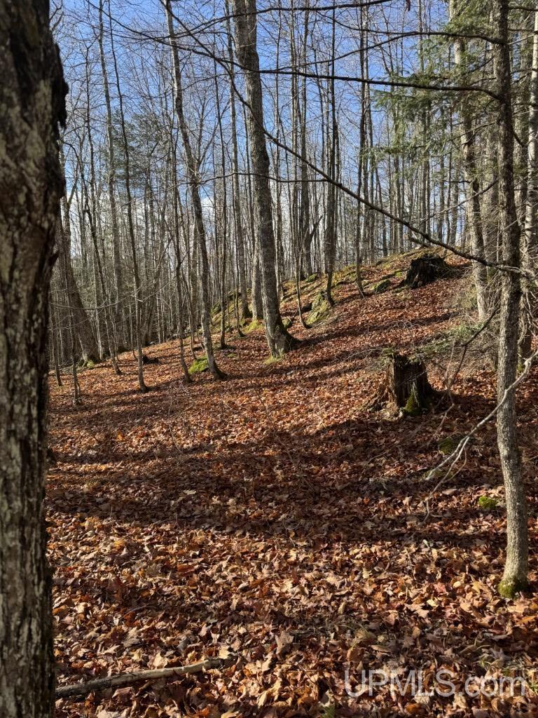 Homes for sale in L'anse, MI | Tbd Herman Nestoria Rd, L'anse, MI 49946 | MLS# 50194103