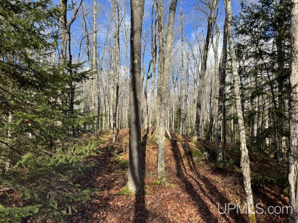 Homes for sale in L'anse, MI | Tbd Herman Nestoria Rd, L'anse, MI 49946 | MLS# 50194103