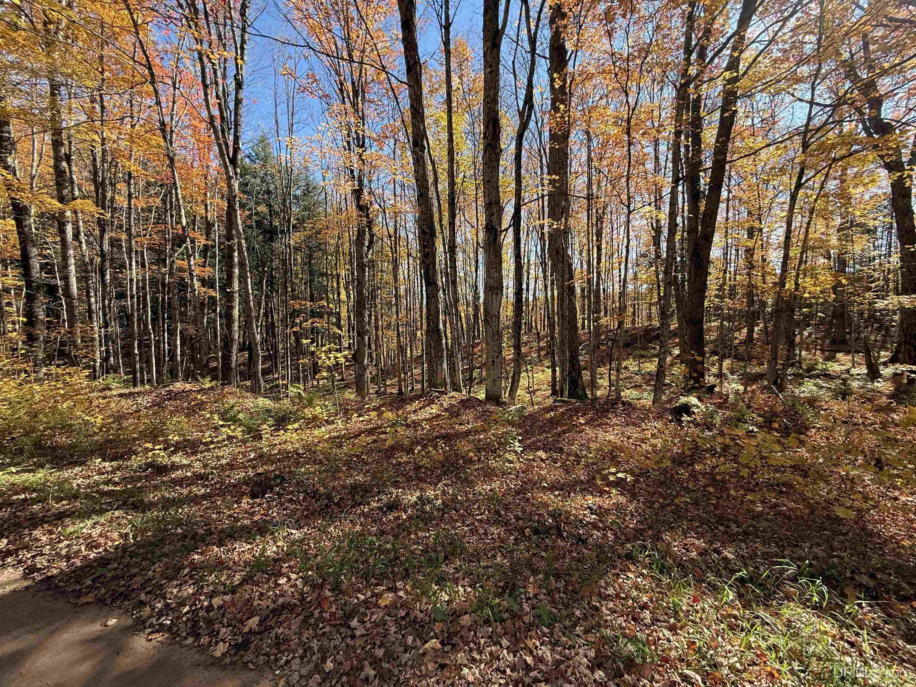 Homes for sale in Pelkie, MI | Parcel 230 Blue Rd, Pelkie, MI 49958 | MLS# 50194125