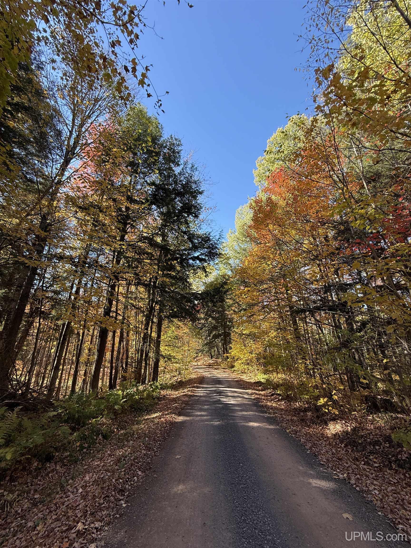 Homes for sale in Pelkie, MI | Parcel 230 Blue Rd, Pelkie, MI 49958 | MLS# 50194125