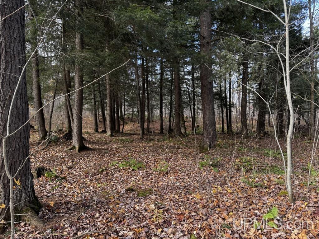 Homes for sale in Skanee, MI | Tbd Off Skanee Rd, Skanee, MI 49962 | MLS# 50194250