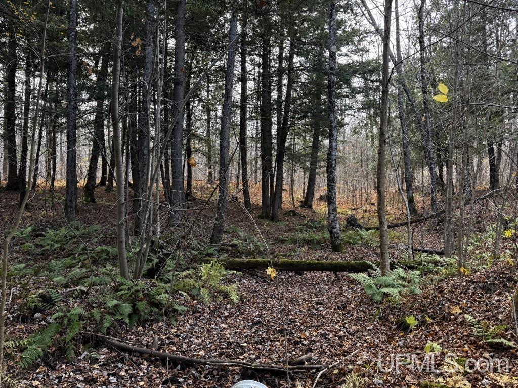 Homes for sale in Skanee, MI | Tbd Off Skanee Rd, Skanee, MI 49962 | MLS# 50194250