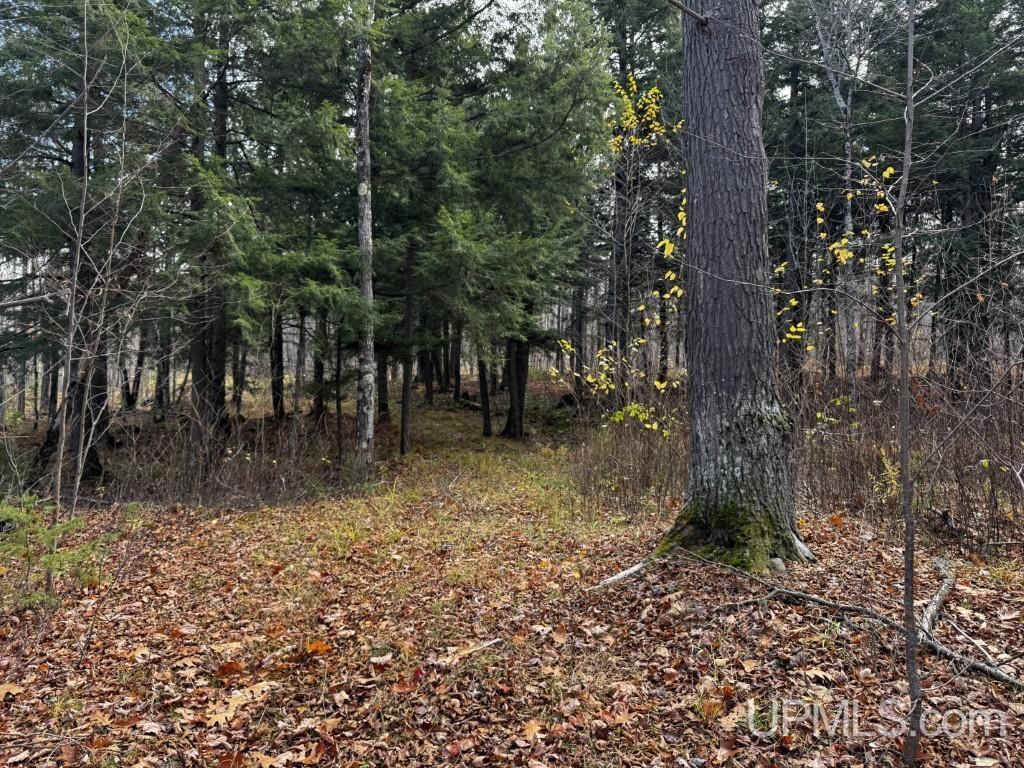 Homes for sale in Skanee, MI | Tbd Off Skanee Rd, Skanee, MI 49962 | MLS# 50194250