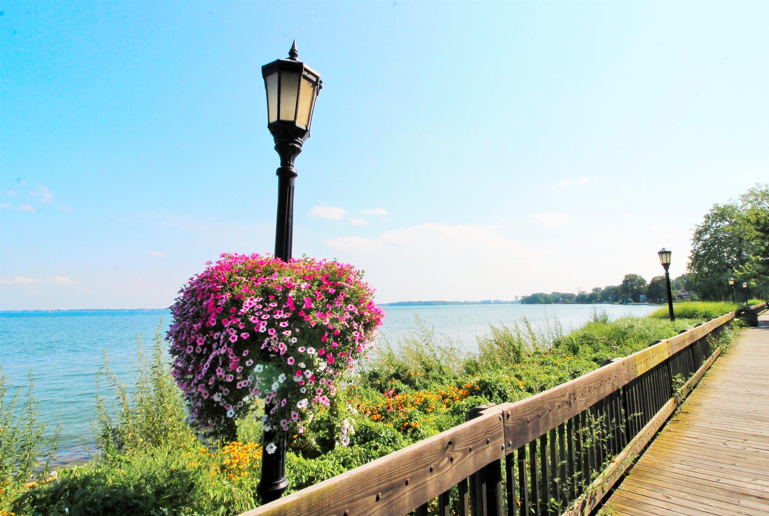 Homes for sale in Grosse Pointe Park, MI | 801 Park Ln, Grosse Pointe Park, MI 48230 | MLS# 50195060