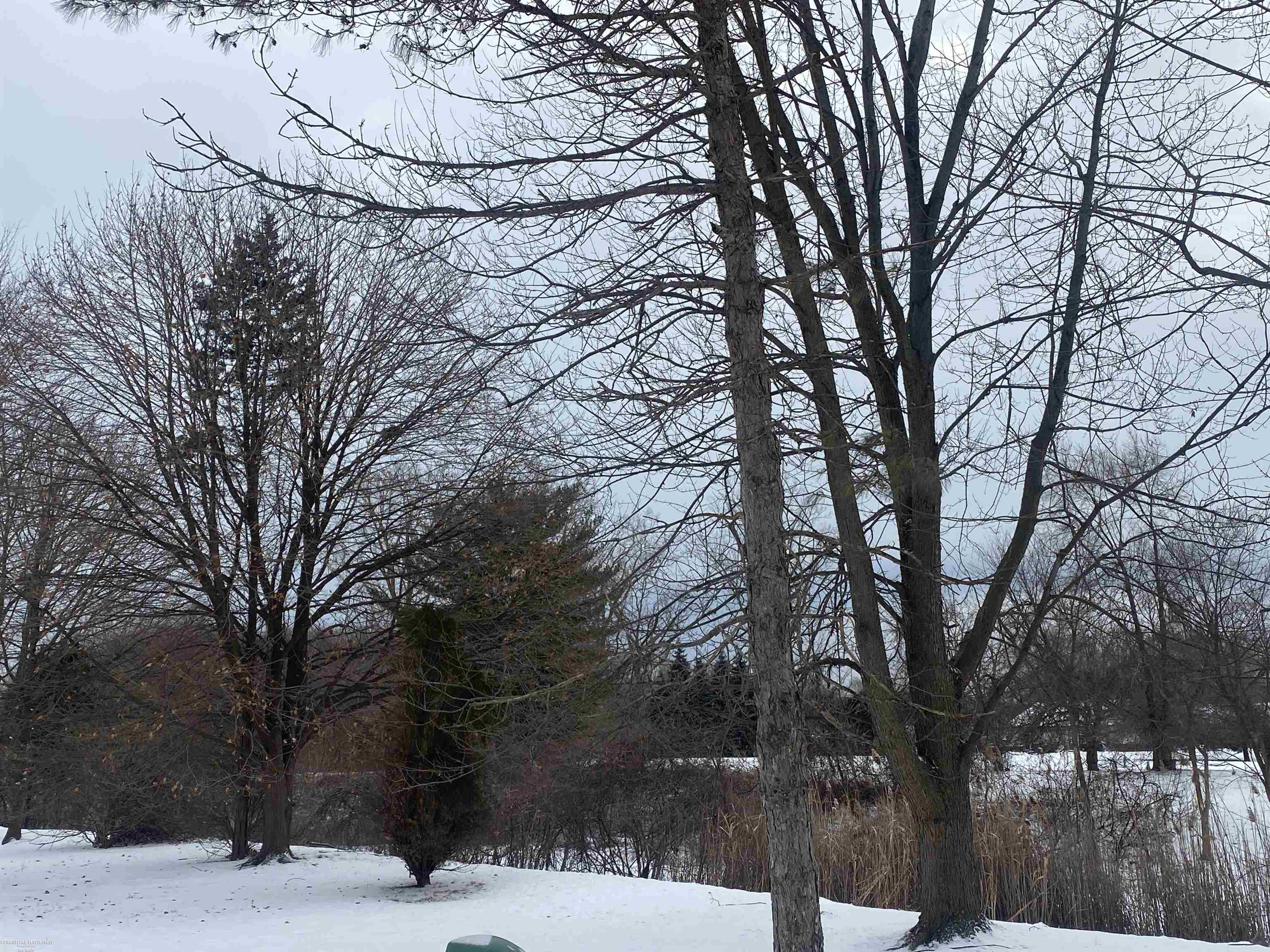 Homes for sale in Harrison Twp, MI | 24722 Meadow Creek Dr, Harrison Twp, MI 48045 | MLS# 50196455