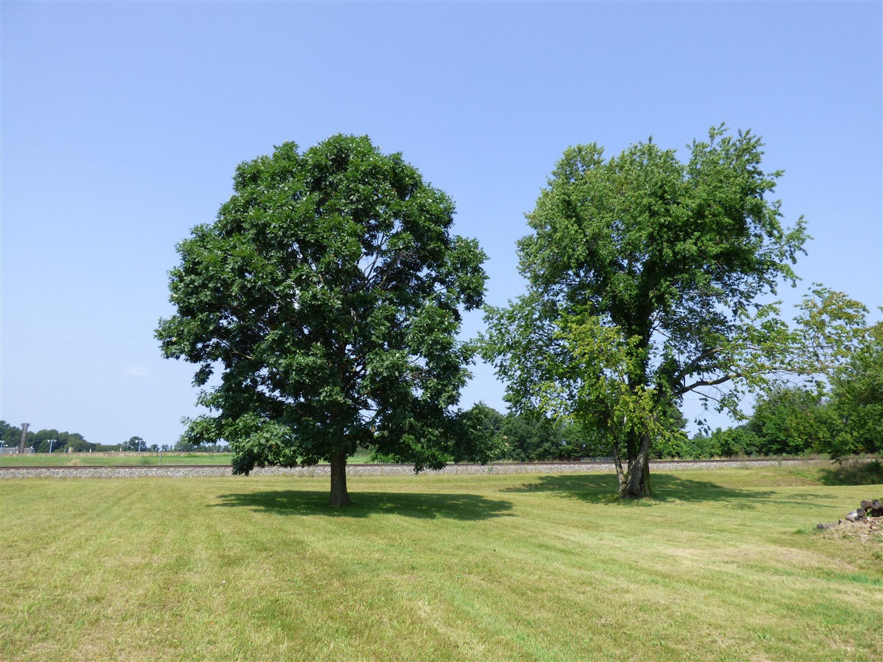 Homes for sale in Hartford, MI | N, Hartford, MI 49057 | MLS# 70223740