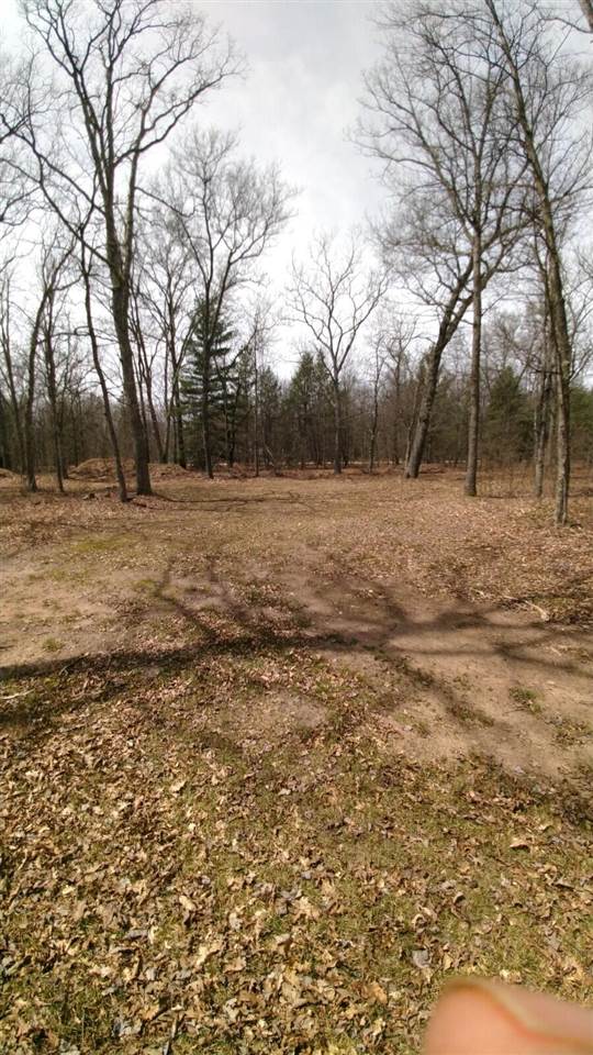 Homes for sale in Baldwin, MI | N, Baldwin, MI 49304 | MLS# 70259749