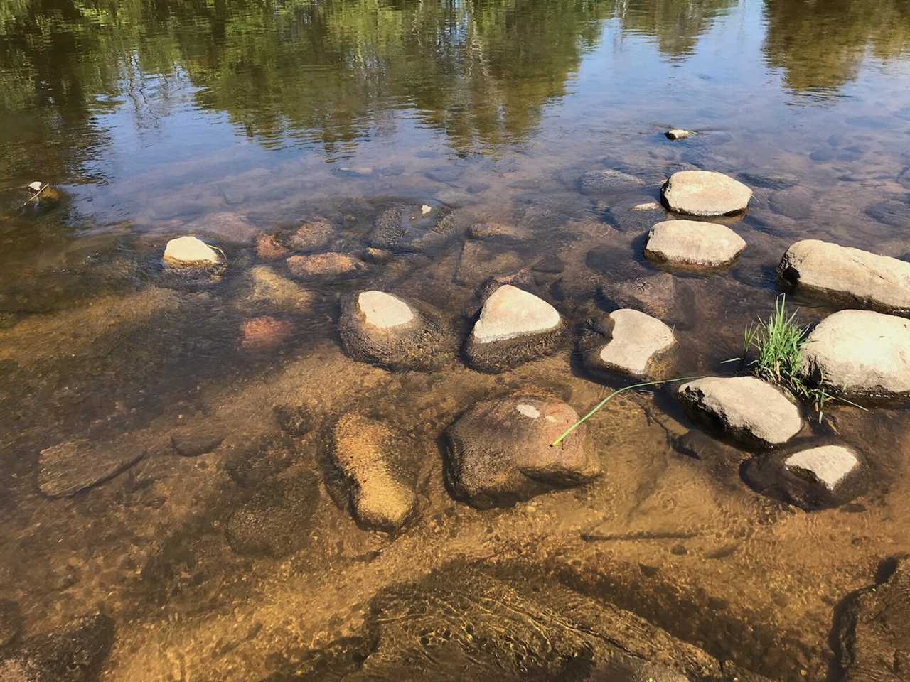 Homes for sale in Hesperia, MI | S Dr, Hesperia, MI 49421 | MLS# 70300718