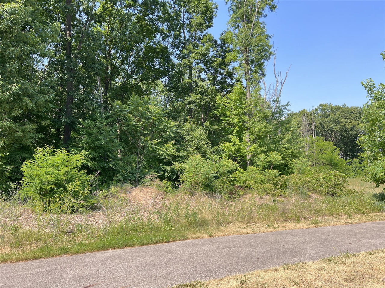 Homes for sale in Mattawan, MI | 8532 Brighten Trl, Mattawan, MI 49071 | MLS# 70316553