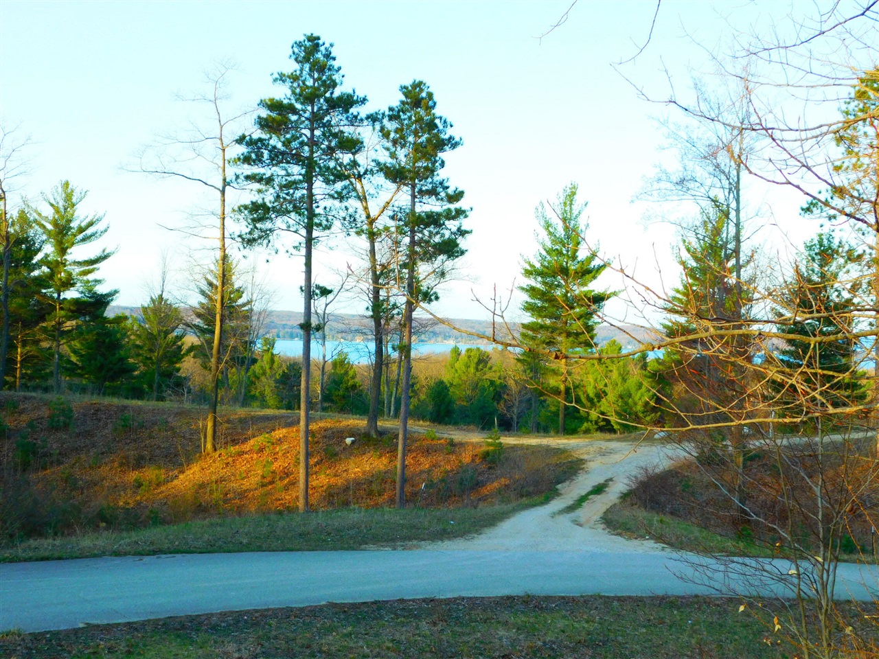 Homes for sale in Onekama, MI | None Indigo Trail, Onekama, MI 49675 | MLS# 70394260