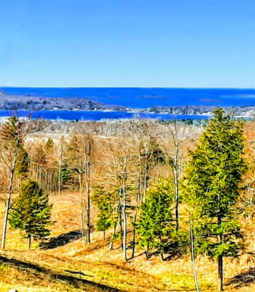 Homes for sale in Onekama, MI | None Indigo Trail, Onekama, MI 49675 | MLS# 70394260