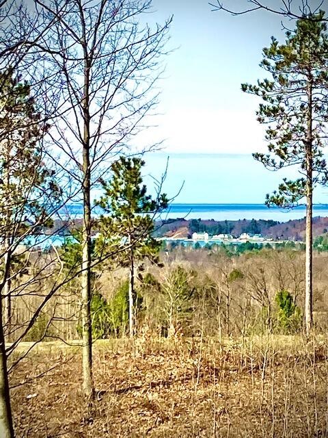 Homes for sale in Onekama, MI | None Indigo Trail, Onekama, MI 49675 | MLS# 70394260