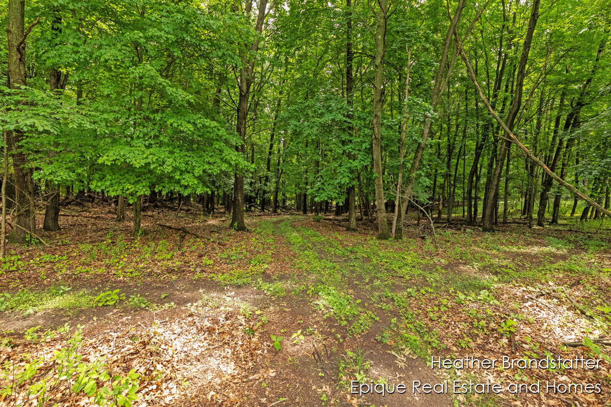 Homes for sale in Grand Rapids, MI | 4323 Woodside Oaks Dr, Grand Rapids, MI 49546 | MLS# 70399798