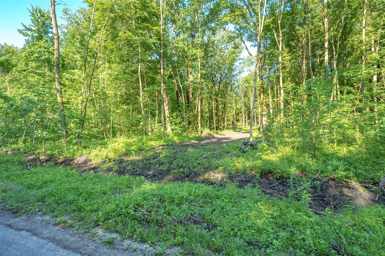 Homes for sale in Bangor, MI | 27248 Park Ln, Bangor, MI 49013 | MLS# 70415008