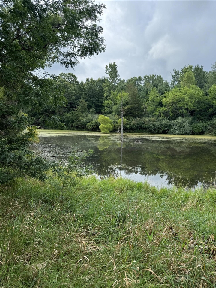 Homes for sale in Brooklyn, MI | 227 Riviera Dr, Brooklyn, MI 49230 | MLS# 70422879