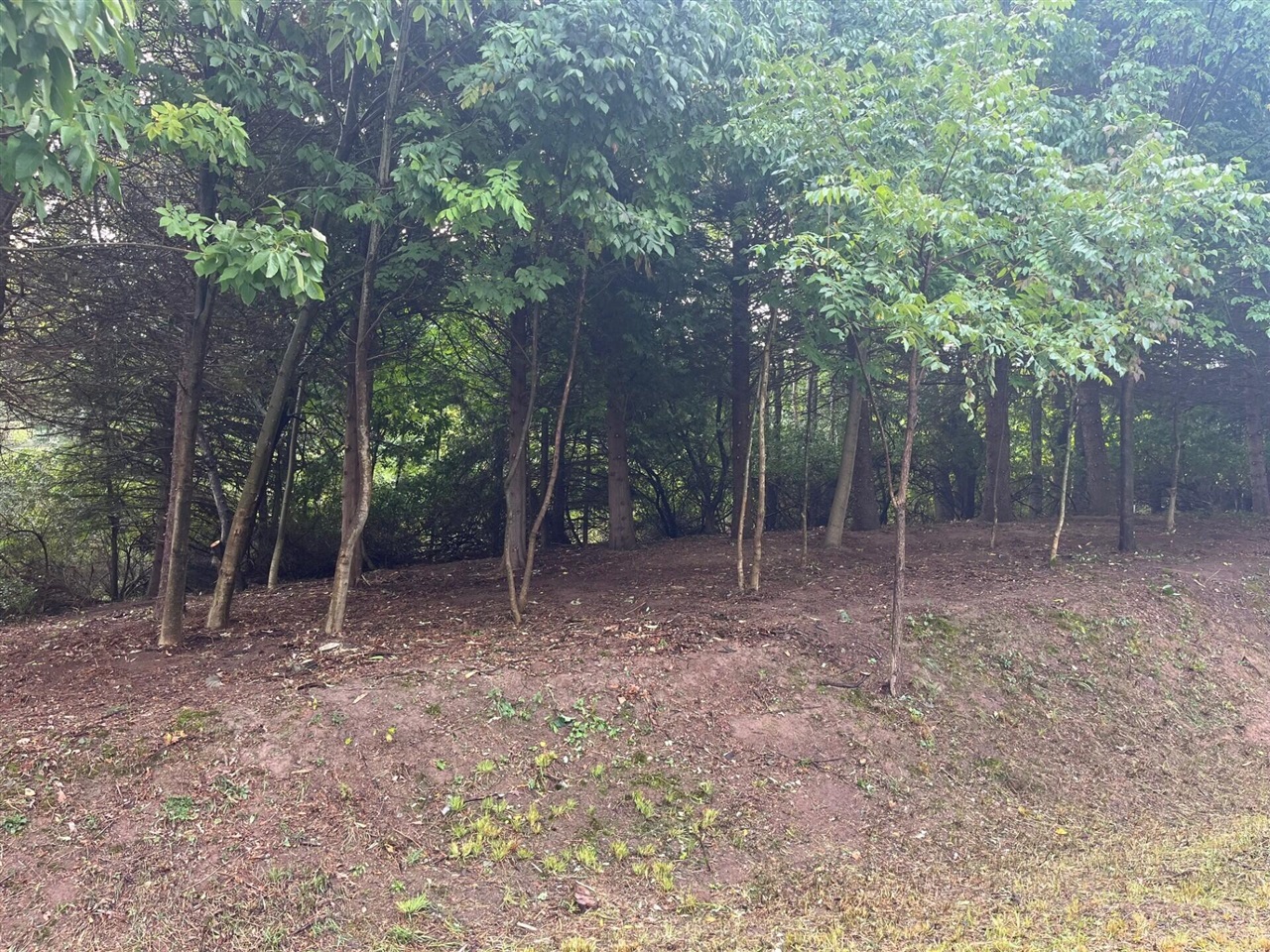 Homes for sale in Scottville, MI | 1266 N Cedar Lane Rd, Scottville, MI 49454 | MLS# 70426326