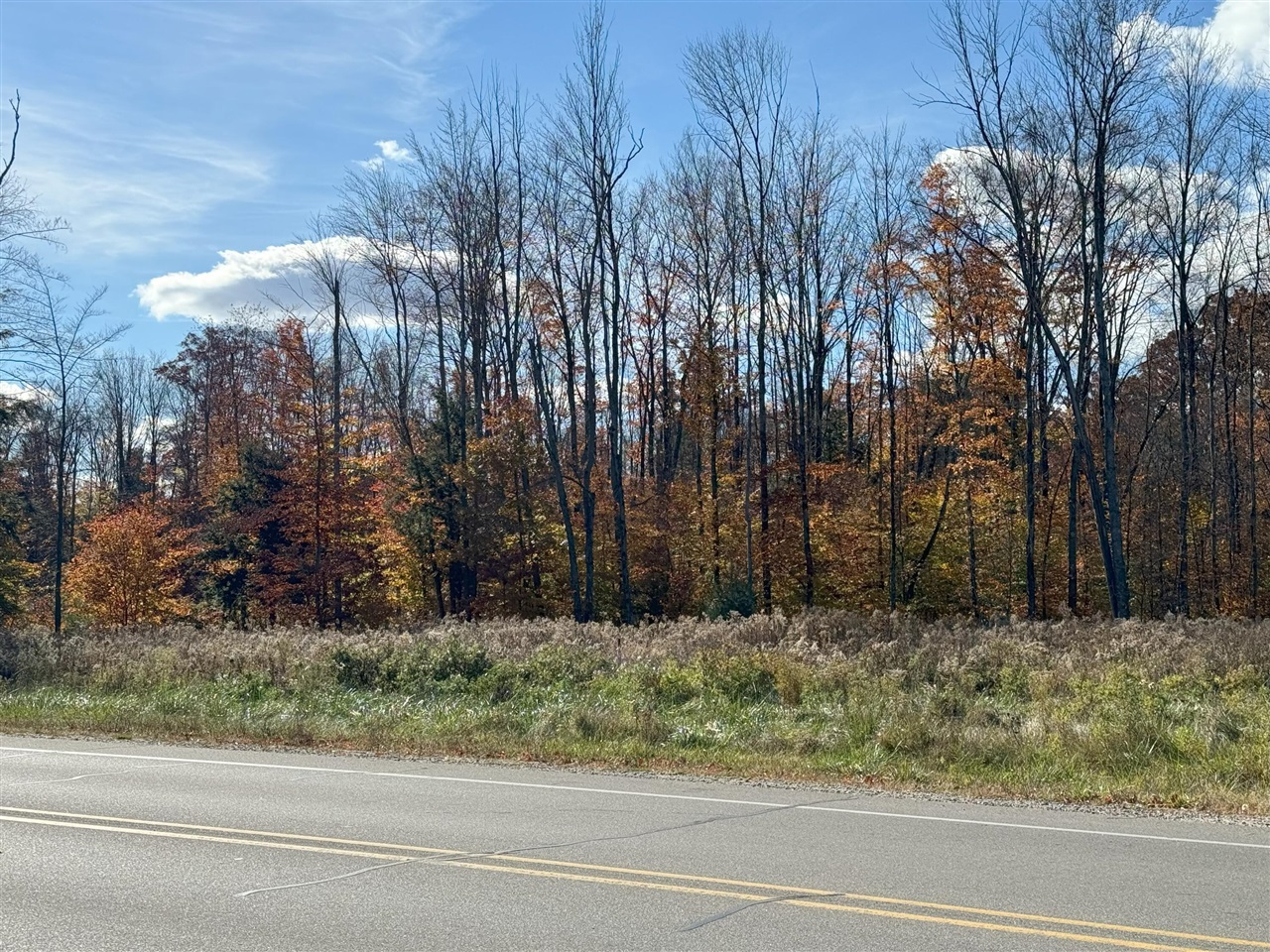 Homes for sale in Big Rapids, MI | Way, Big Rapids, MI 49307 | MLS# 70438322