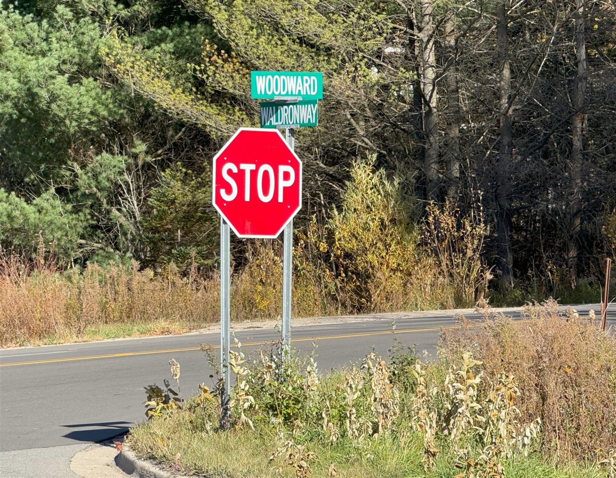 Homes for sale in Big Rapids, MI | Way, Big Rapids, MI 49307 | MLS# 70438322