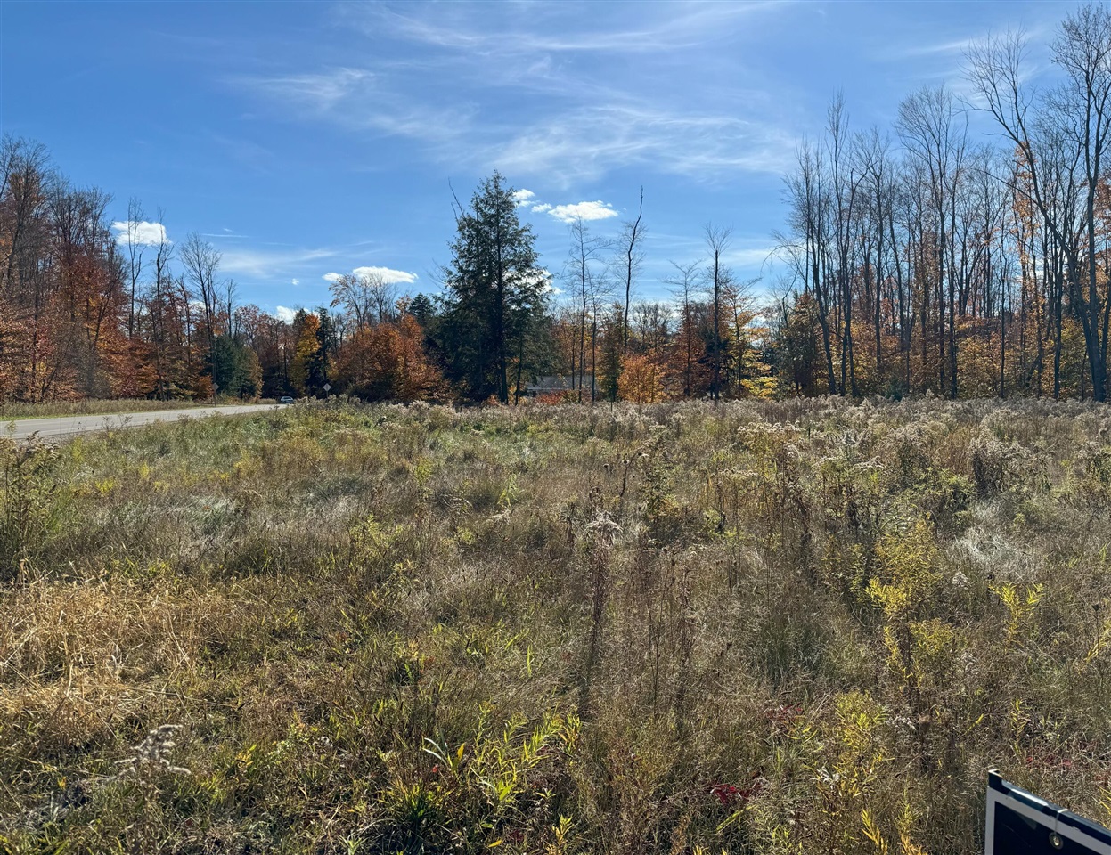 Homes for sale in Big Rapids, MI | Way, Big Rapids, MI 49307 | MLS# 70438322