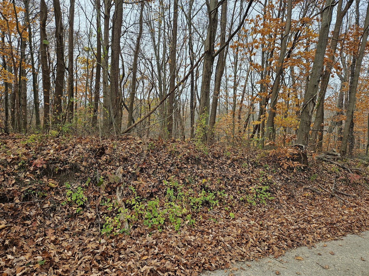 Homes for sale in Coloma, MI | St, Coloma, MI 49038 | MLS# 70441611