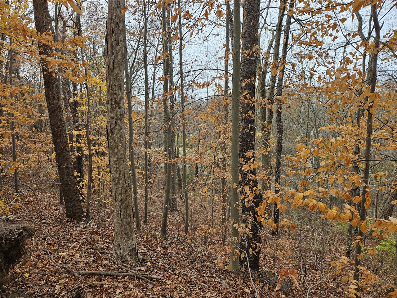 Homes for sale in Coloma, MI | St, Coloma, MI 49038 | MLS# 70441611