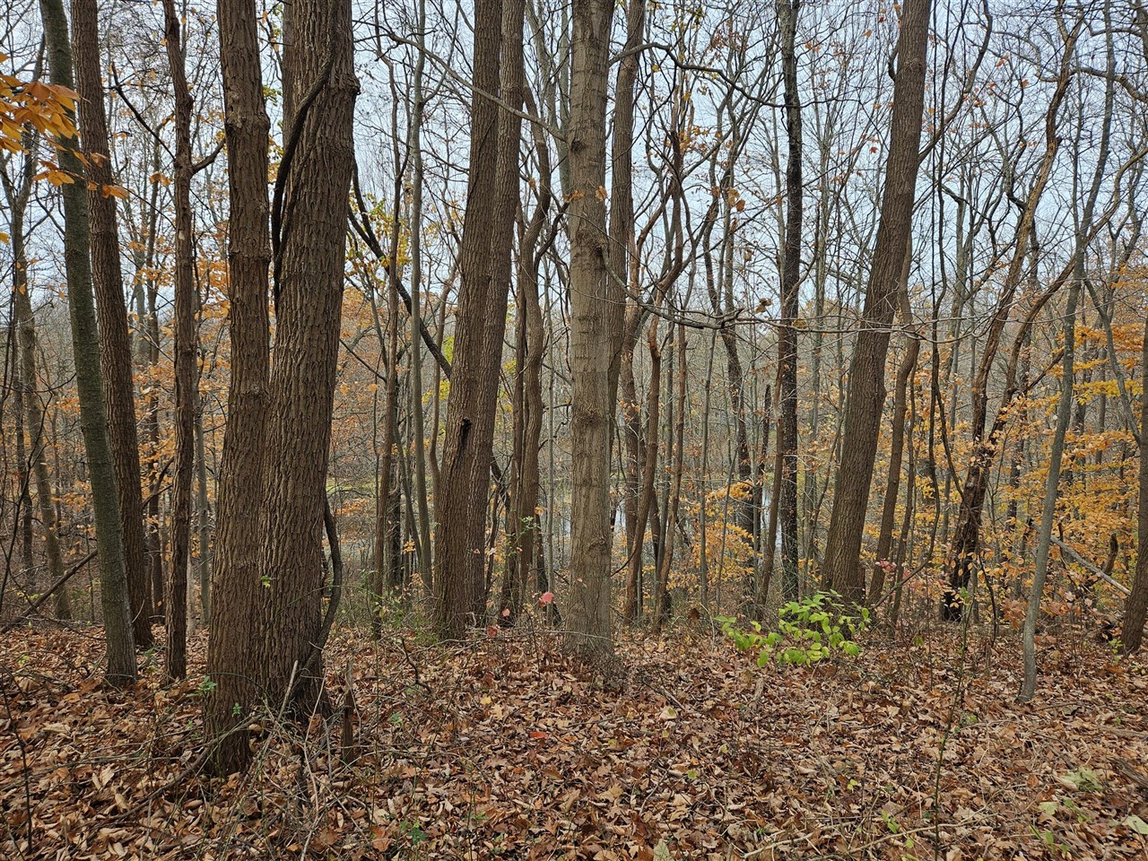 Homes for sale in Coloma, MI | St, Coloma, MI 49038 | MLS# 70441611