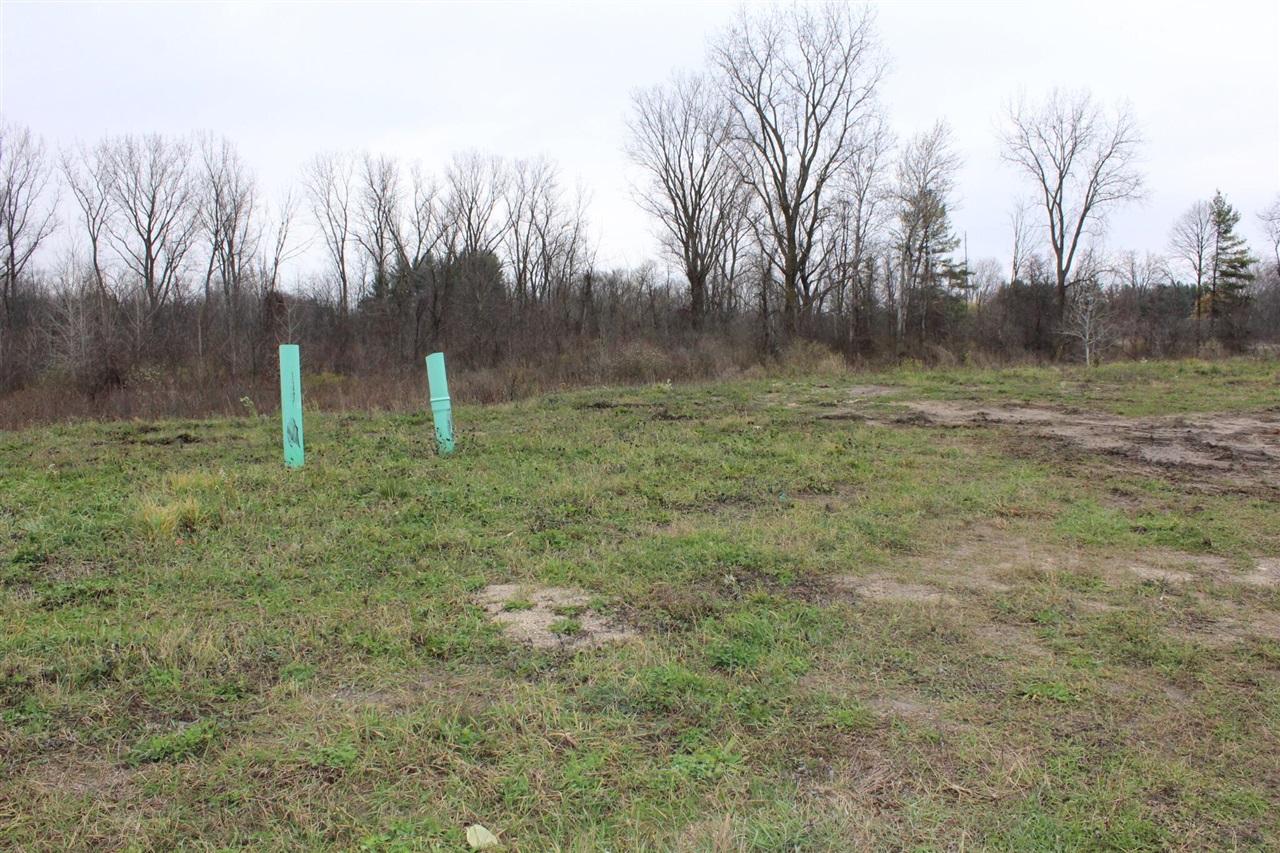 Homes for sale in Allendale, MI | Dr, Allendale, MI 49401 | MLS# 70442343