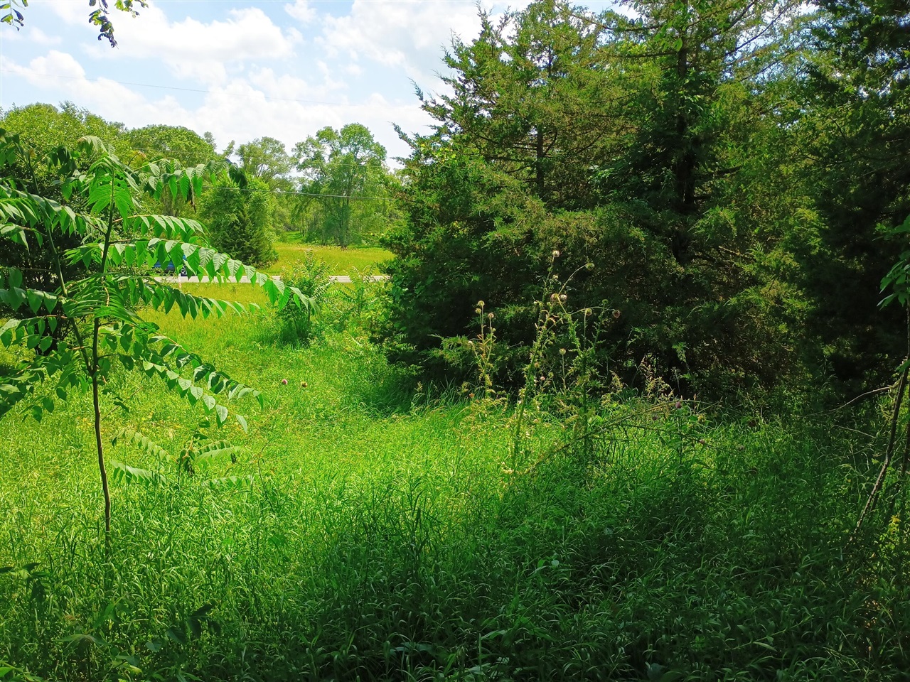 Homes for sale in Michigan Center, MI | 0 Huggins Road, Michigan Center, MI 49254 | MLS# 70447458