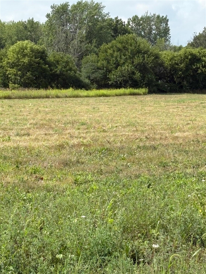 Homes for sale in Byron Center, MI | Parcel G Windward Ave, Byron Center, MI 49315 | MLS# 70447806