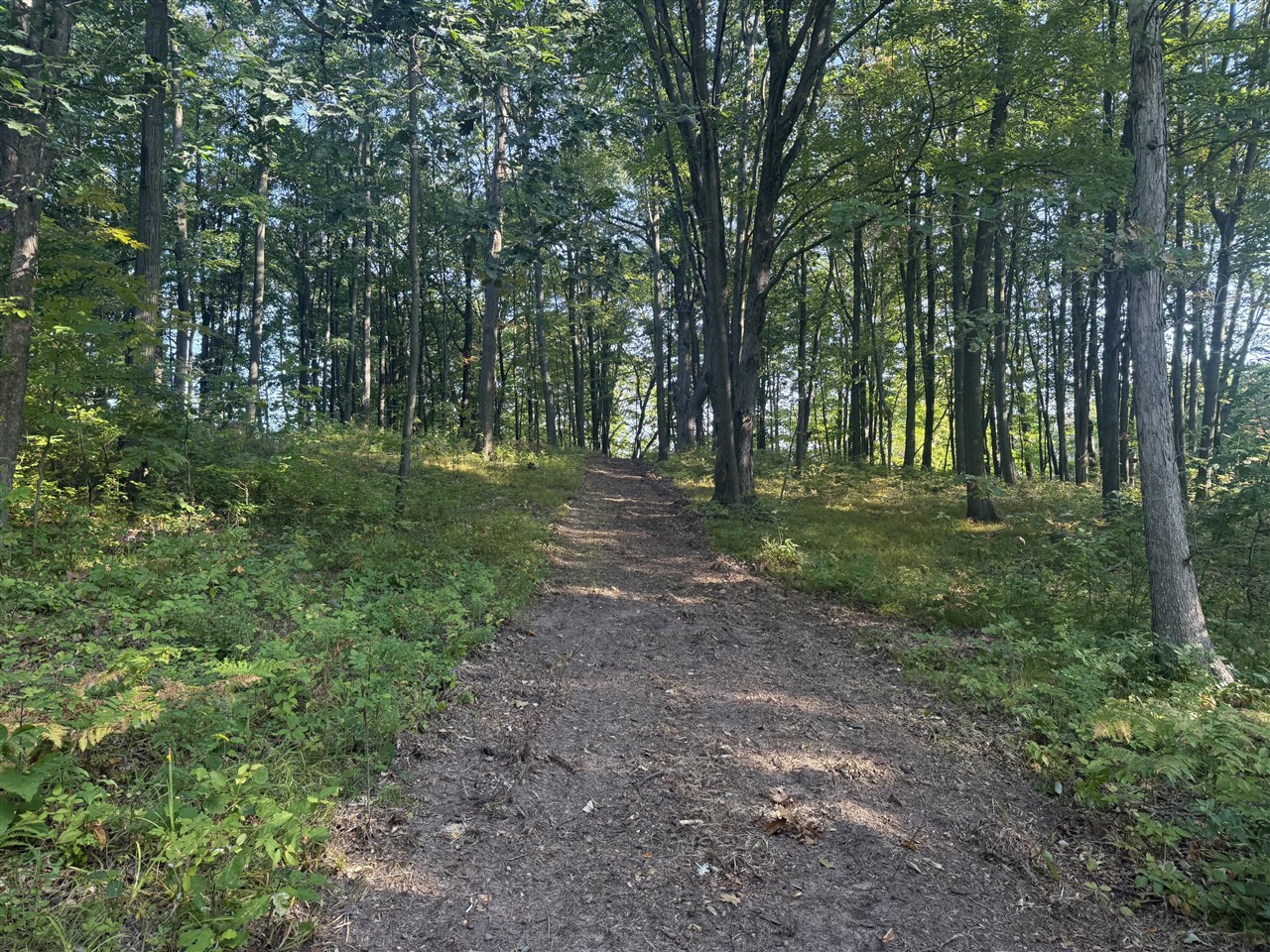 Homes for sale in Lake Isabella, MI | 1014 Pueblo Pass, Lake Isabella, MI 48893 | MLS# 70447853