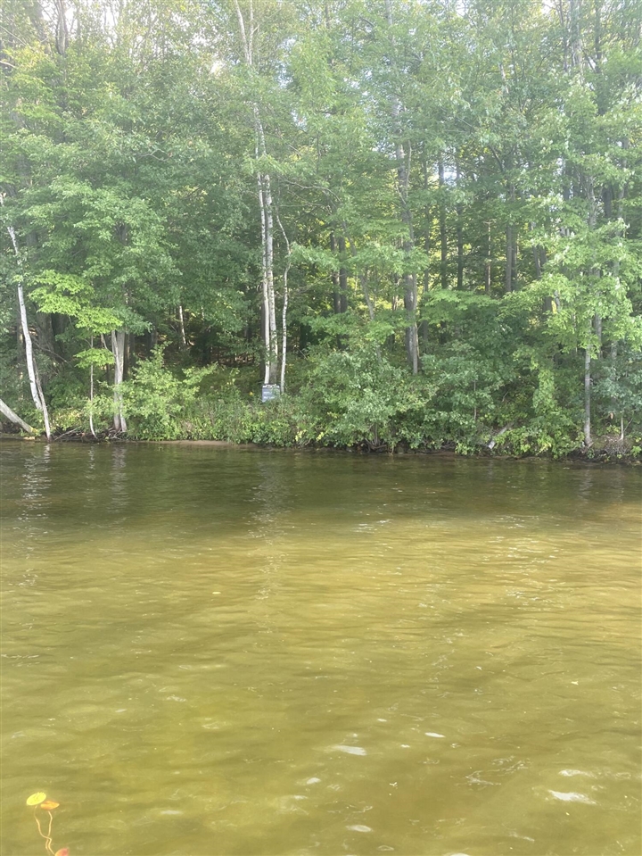 Homes for sale in Lake Isabella, MI | 1014 Pueblo Pass, Lake Isabella, MI 48893 | MLS# 70447853