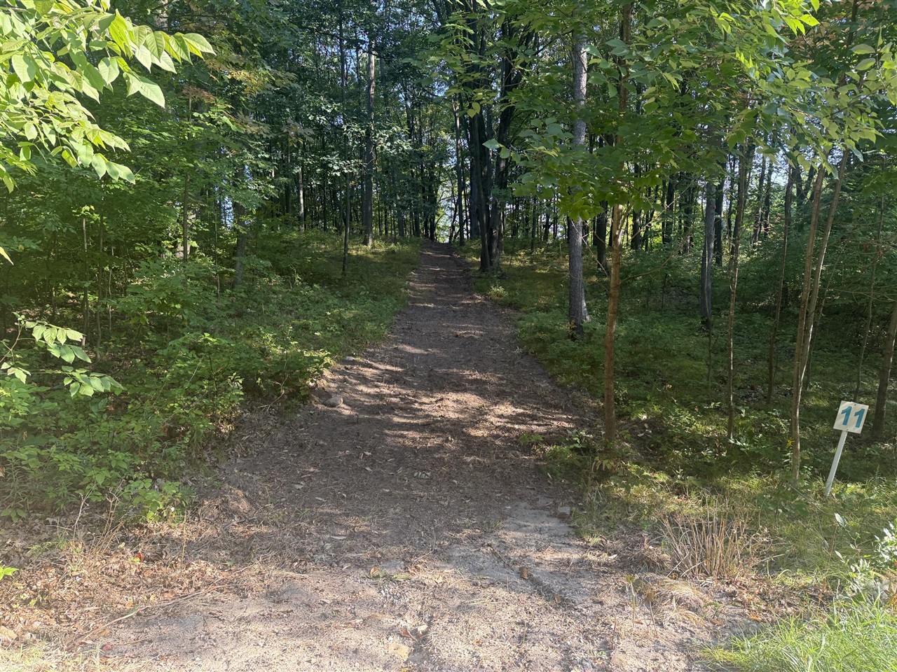 Homes for sale in Lake Isabella, MI | 1014 Pueblo Pass, Lake Isabella, MI 48893 | MLS# 70447853