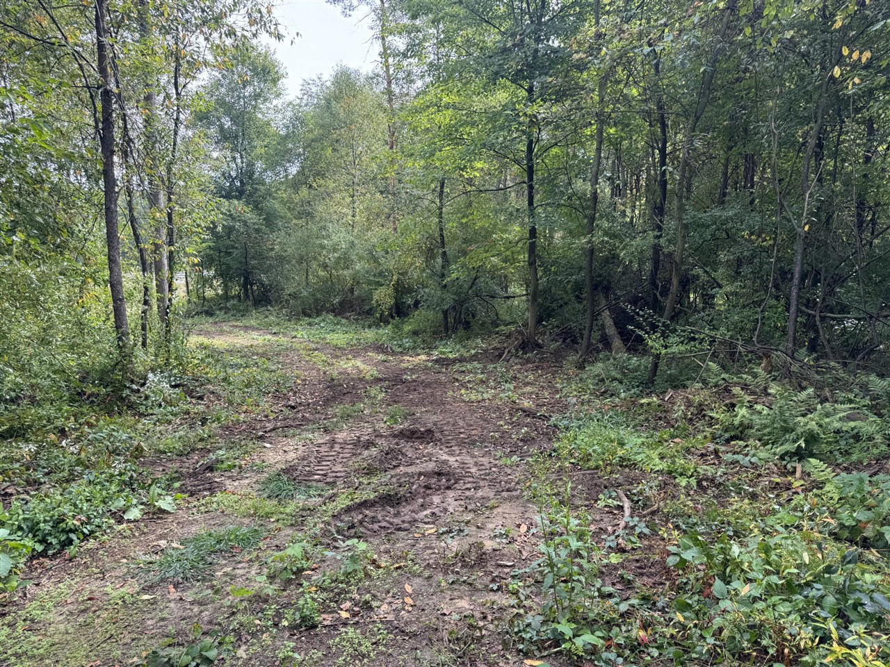 Homes for sale in Gobles, MI | 0 Cr 388, Gobles, MI 49055 | MLS# 70448183