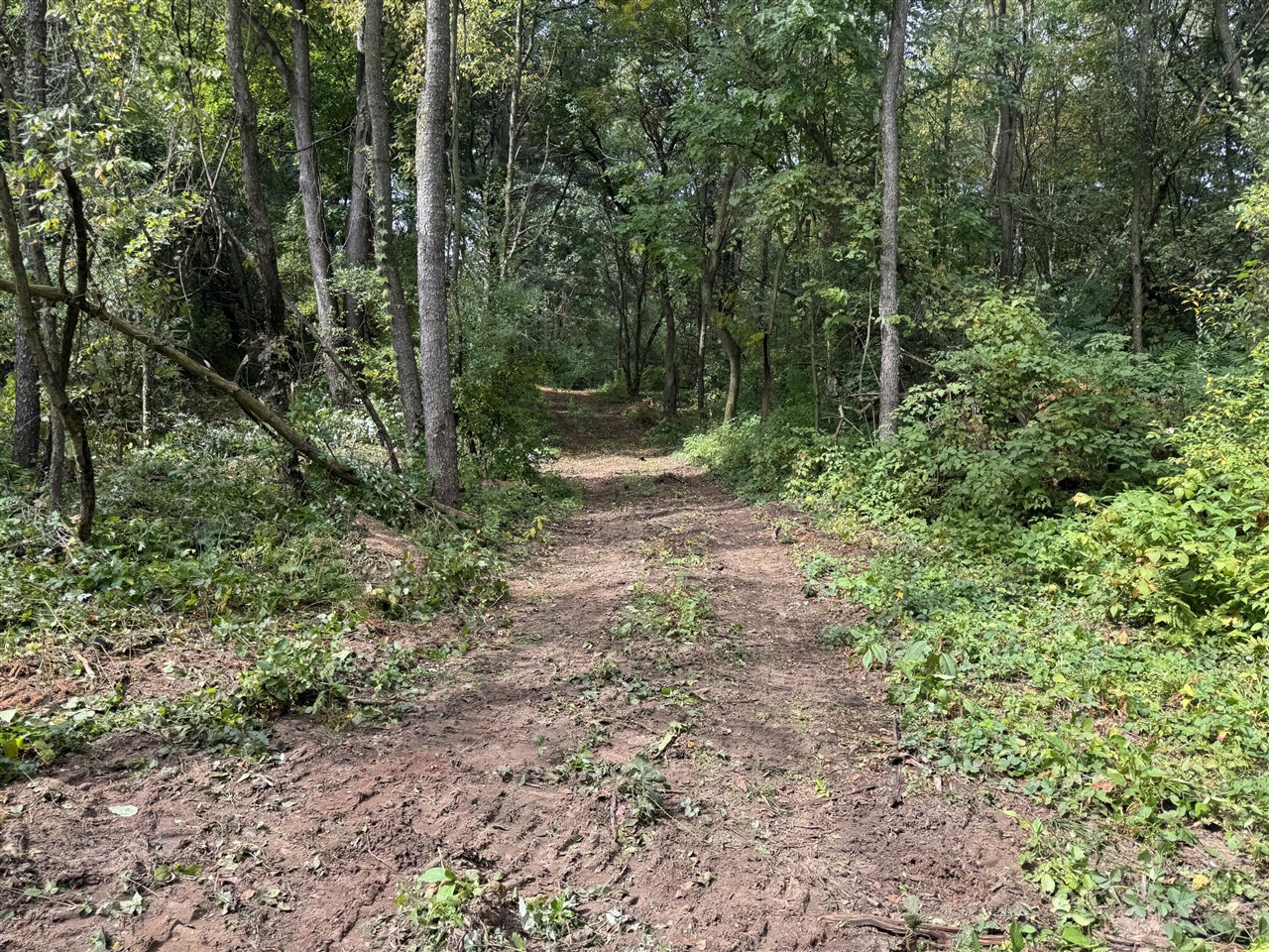 Homes for sale in Gobles, MI | 0 Cr-388, Gobles, MI 49055 | MLS# 70448183