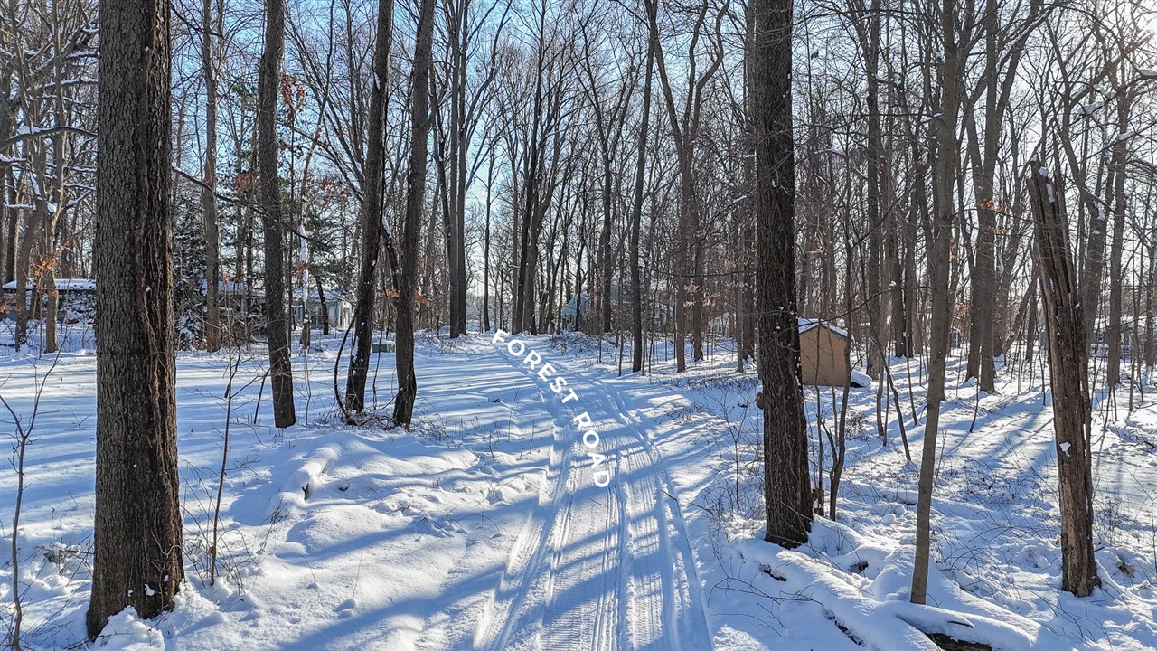 Homes for sale in Dowagiac, MI | 1 Forest Rd, Dowagiac, MI 49047 | MLS# 70448721