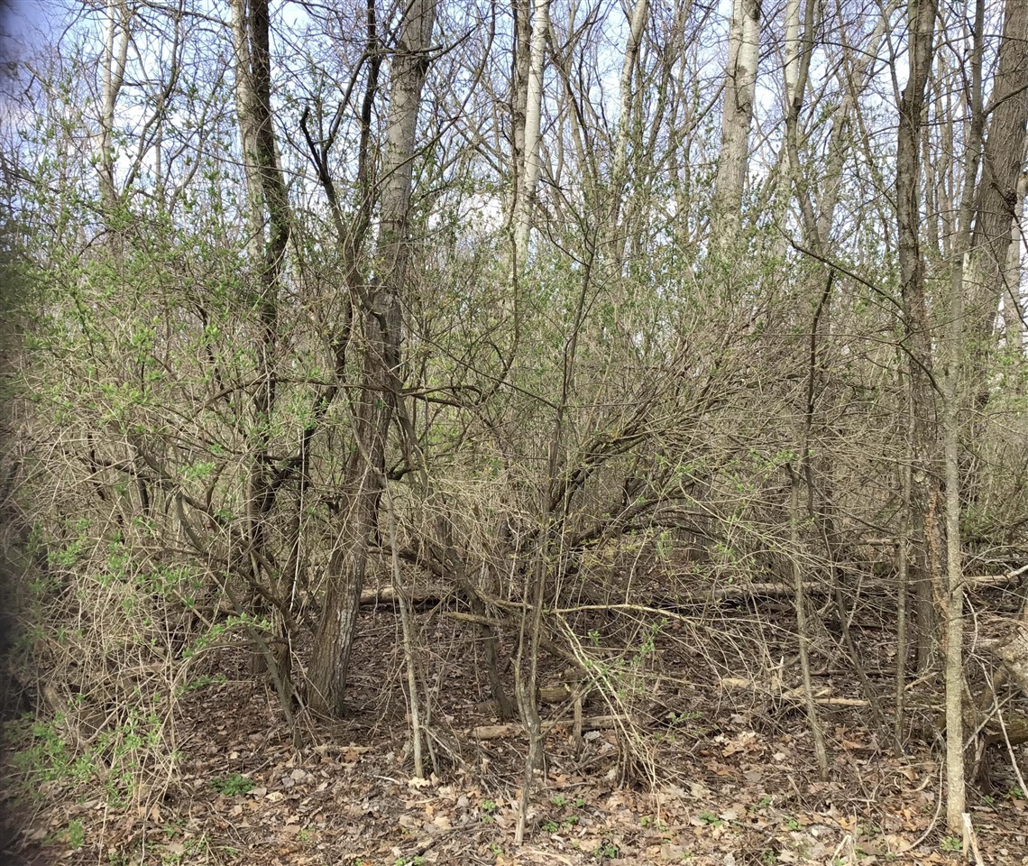 Homes for sale in Otsego, MI | Briarwood Dr, Otsego, MI 49078 | MLS# 70448910