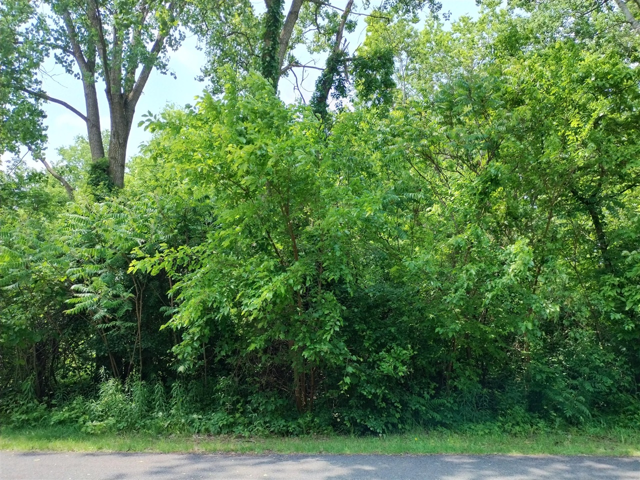 Homes for sale in Otsego, MI | Briarwood Dr, Otsego, MI 49078 | MLS# 70448910